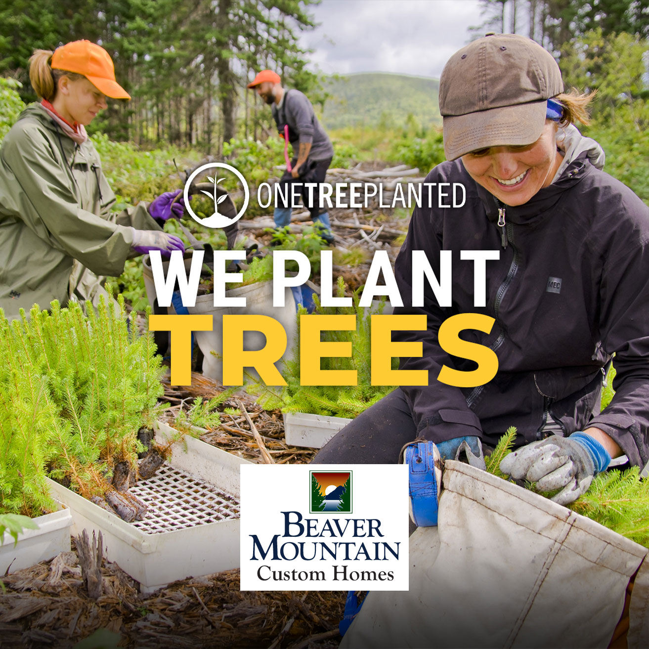 One Tree Planted reforesting
